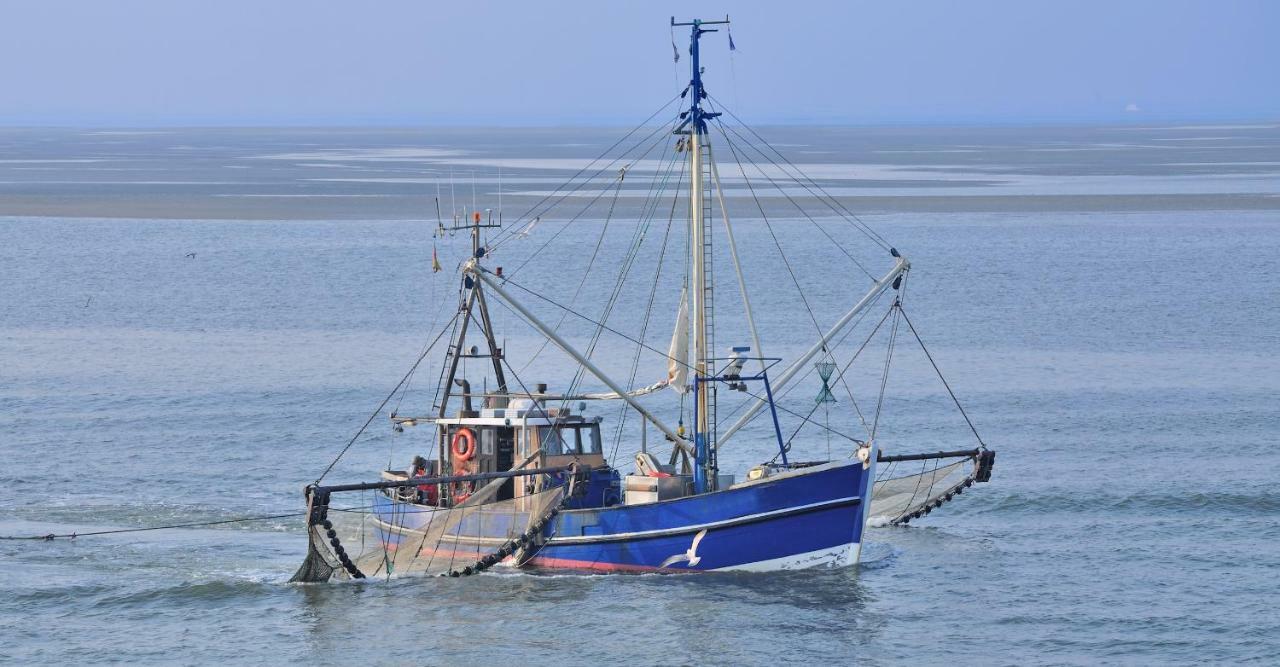 Ferienwohnung Familie Böckmann auf Norderney Exterior foto